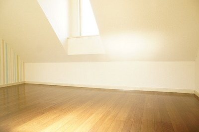 View. Convenient as both storage as a space to sleep loft!