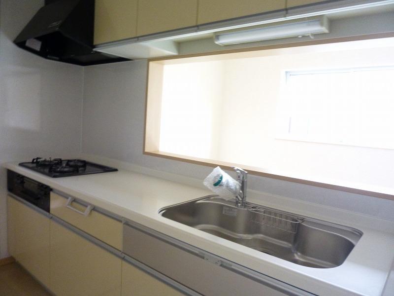 Kitchen. Indoor (11 May 2013) Shooting