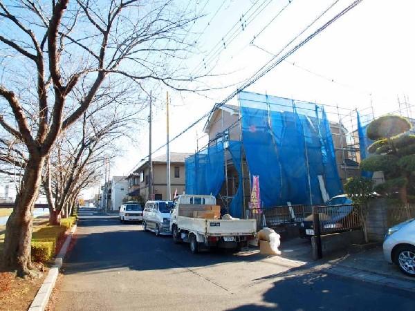 Local photos, including front road