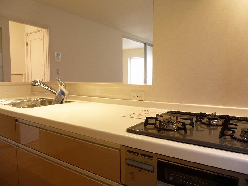 Kitchen. Indoor (12 May 2013) Shooting