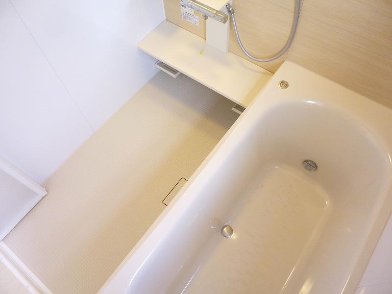 Bathroom. Indoor (12 May 2013) Shooting