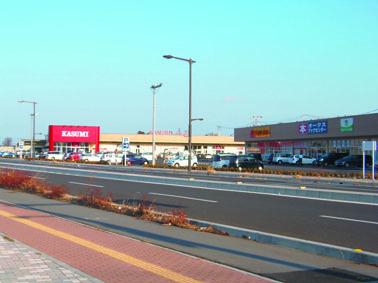 Shopping centre. Piashiti Koshigaya until large bag 664m