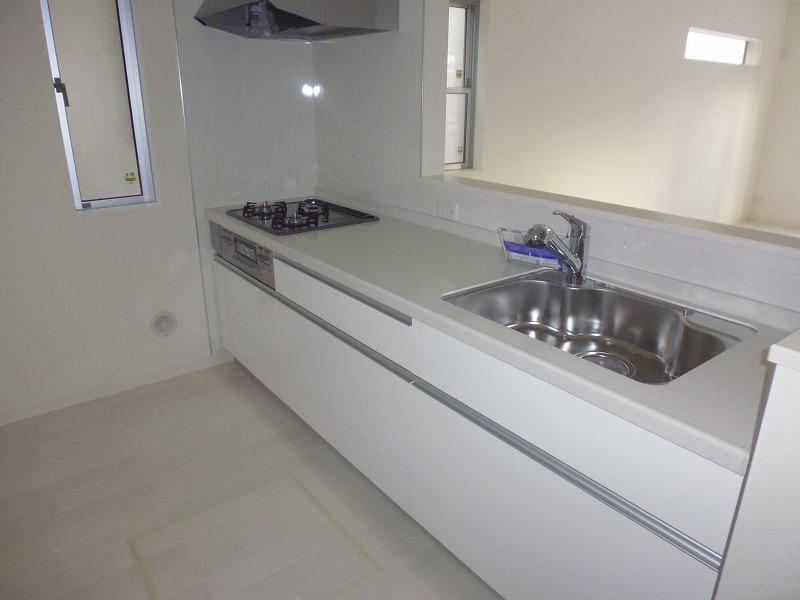 Kitchen. Indoor (12 May 2013) Shooting