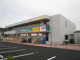 Dorakkusutoa. Drag Seimusu Koshigaya Osato 194m until the pharmacy (drugstore)