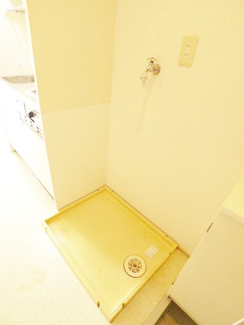 Other room space. Laundry Area