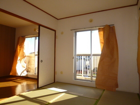 Living and room. Japanese-style room.