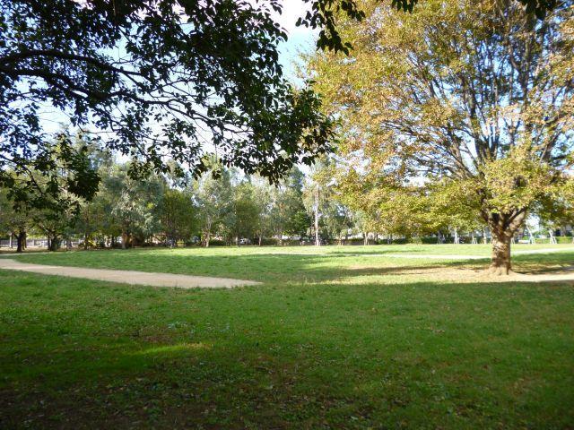 park. Campbell Town park