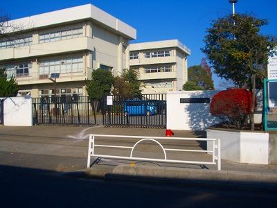 Primary school. Omano until elementary school 560m
