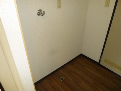 Other room space. Laundry Area