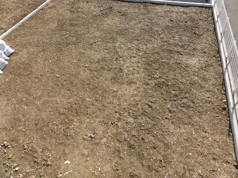 Garden. 2013.11.9 shooting. All room 6 quires more