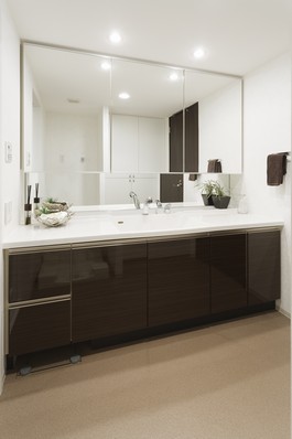 Beautiful in appearance, Vanity care was also adopted effortless counter-integrated bowl. In all the back of the three-sided mirror that employs a wide mirror storage rack, Also Shimae and refreshing such as cosmetics such. Also has a also a convenient hand shower