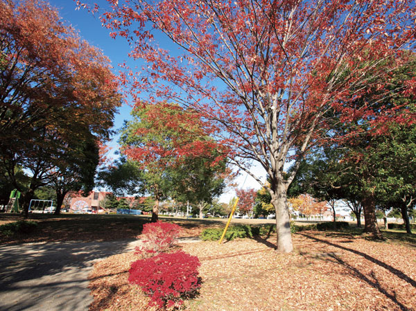 Surrounding environment. Future park (about 500m ・ 7-minute walk)