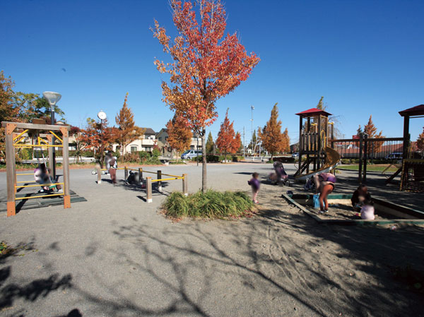 Surrounding environment. Dawn redwood park (about 320m ・ 4-minute walk)