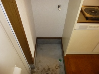 Other room space. Laundry Area