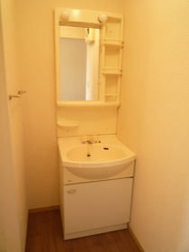 Washroom. There washbasin