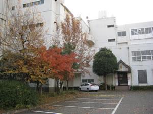 Primary school. Hon 800m up to elementary school