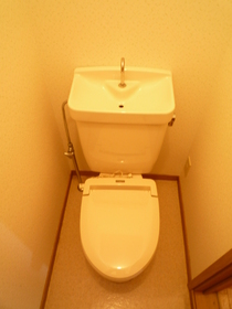 Toilet. Toilet