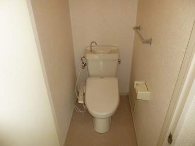 Toilet. Hot water cleaning function with toilet seat