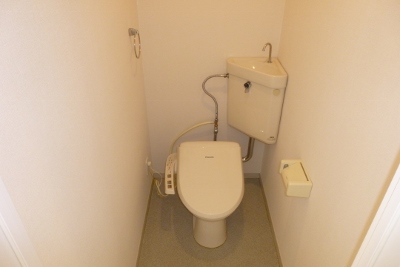 Toilet. Hot water cleaning function with toilet seat