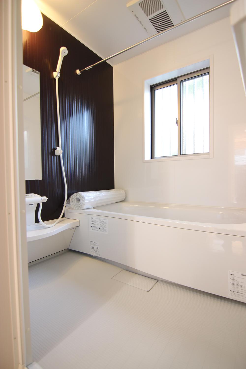 Bathroom. Indoor (11 May 2013) Shooting