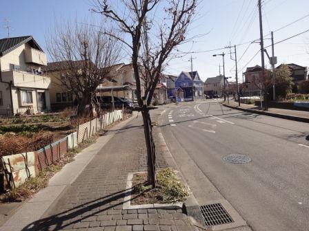 Local photos, including front road