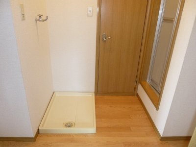 Other room space. Laundry Area