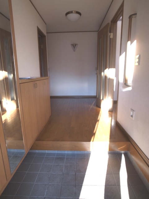 Entrance. There is also a mirror to the front door. 