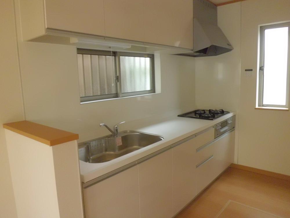 Kitchen. Indoor (10 May 2013) Shooting