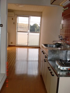 Living and room. Room introspection than the front door