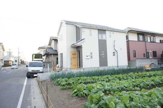 Local appearance photo. Local Photos