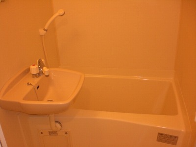 Bath. shower, Wash basin, With bathroom dryer