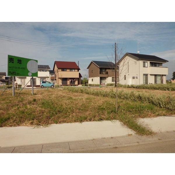 Local photos, including front road