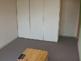 Living and room. There is a spacious storage space. 