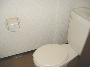 Toilet