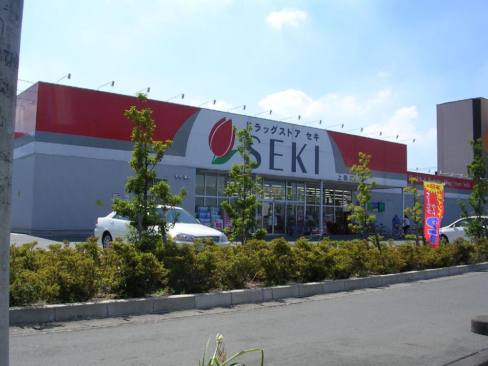 Drug store. Drugstore cough up Kamishiba shop 809m