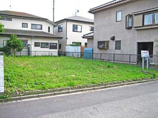 Local land photo. appearance