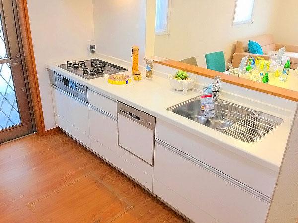 Kitchen. Friendly built-in dishwasher dryer to mom, System kitchen with a water purifier with a shower faucet / A Building (June 2013) Shooting