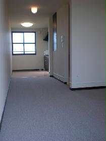 Living and room. 2F storage