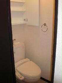 Toilet. Warm water washing toilet seat