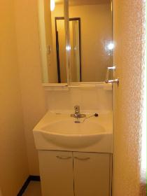 Washroom. Independent wash basin