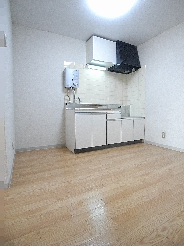 Kitchen. Loose use kitchen! 