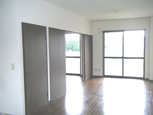 Living and room. Spacious 13 Pledge LDK