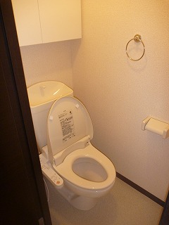 Toilet. Shower toilet also comes with. 