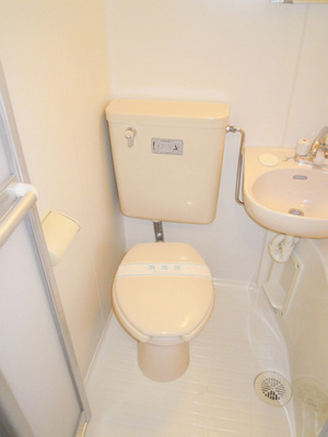 Toilet. Toilet