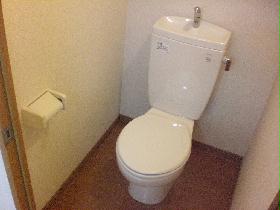 Toilet. It is a flush toilet