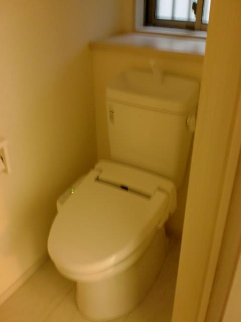 Toilet. Indoor (12 May 2013) Shooting