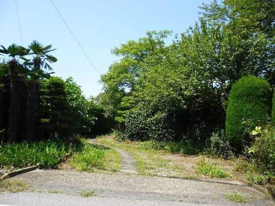 Local land photo. Article