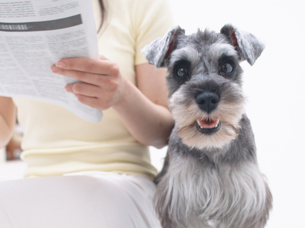 Features of the building.  [Apartment life to live with pets] You can also live with cute pet. It was provided with a foot washing place in the entrance aside to clean the foot to walk the way home.  ※ Published photograph of is an example of a pet frog