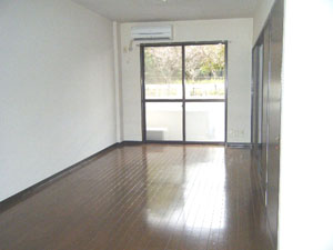 Living and room. Spacious 13 Pledge LDK