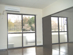 Living and room. LDK and Western